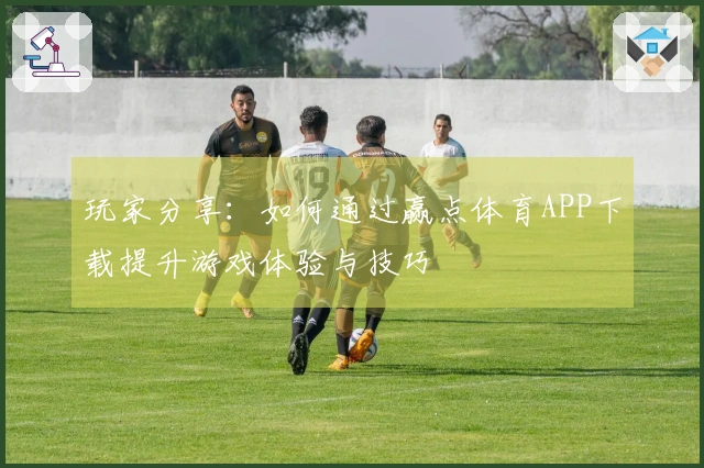玩家分享：如何通过赢点体育APP下载提升游戏体验与技巧