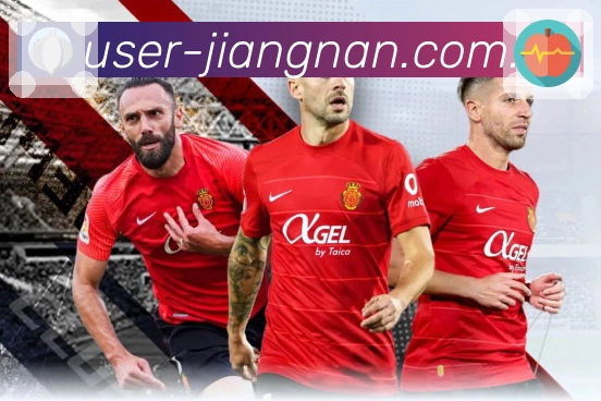 <strong>江南体育</strong>资金管理面板